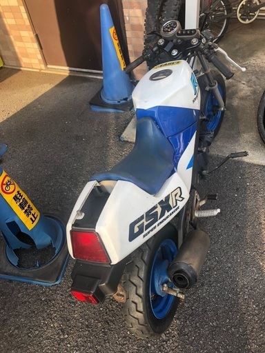 スズキ ギャグ 不動