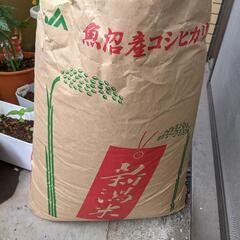 交渉中【訳あり】玄米コシヒカリ30キロ