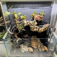 水草水槽一式、写真に写ってる物全て