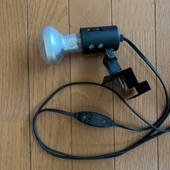 【値下げ】爬虫類ケージ(W91.5xD46.5xH48cm)  & 飼育セット一式 (フトアゴヒゲトカゲ)