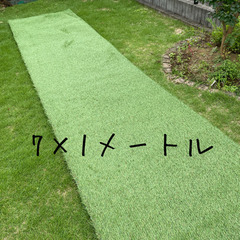 まるで本物の芝生の様な人工芝　7×1メートル