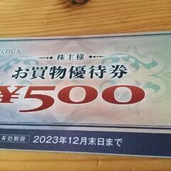 ヤマダ電機、株主優待5000円分（500円券✕10枚）