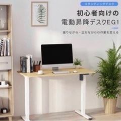 ※美品　flexispot EG1 天板セット　昇降デスク 