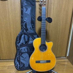 【新古品・レア】Epiphone SST?  Chet Atki...