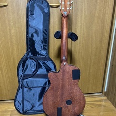 新古品・レア】Epiphone SST? Chet Atkinsモデル エレガット