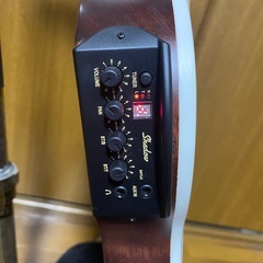 新古品・レア】Epiphone SST? Chet Atkinsモデル エレガット