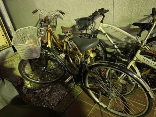 中古自転車販売