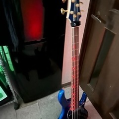 TRUTH 五弦ベース LEDポジションマーク