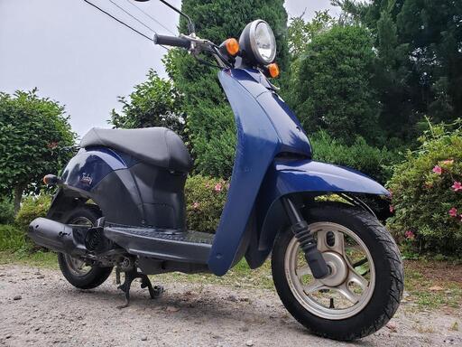 原付大人気HONDAトゥディー早い者勝ち‼️低燃費‼️即乗り