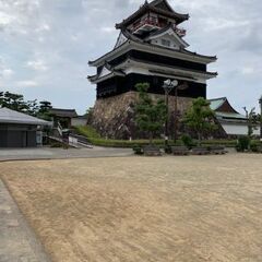 話相手や飲み友、旅行仲間