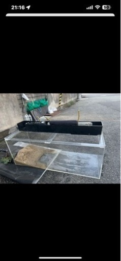 お値下げ交渉可能】アクリル水槽1200×450×450 | neix.com.ar