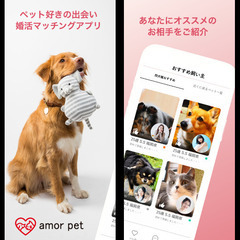 恋活・婚活マッチングアプリ「アモルペット」