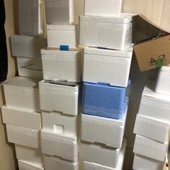 【ネット決済】保冷　発泡スチロール箱　観賞魚発送用　保冷ボックス