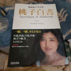 菊池桃子 写真集 桃子白書  アイドル