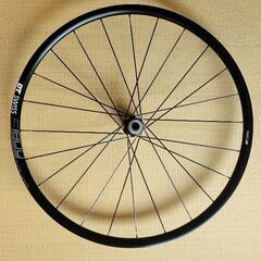 DT Swiss E1800 Spline db