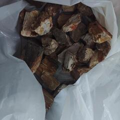 アクアリウム(水草水槽)