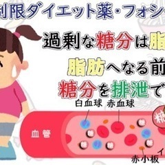 【ネット決済・配送可】ダイエットサプリ