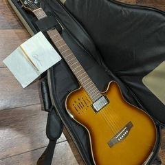 Godin  A6 Ultra  