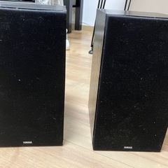 NS-1000MM