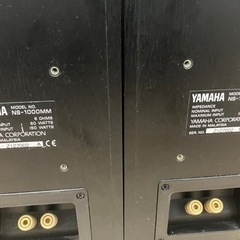 NS-1000MM