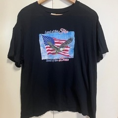 USA アメリカンイーグル風　tシャツ