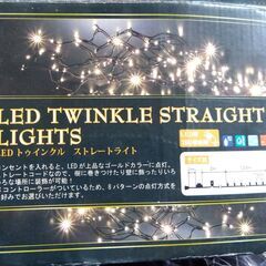 LED TWINKLE STRAIGHT LIGHTS