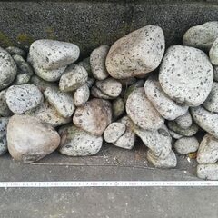 庭石　大量