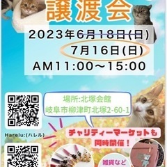 🐾保護猫譲渡会 & チャリティマルシェ🐾