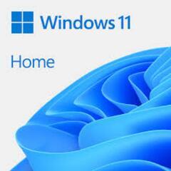 【ネット決済・配送可】Windows 11 home プロダクト...
