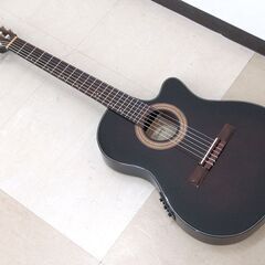 現状品 Ibanez アイバニーズ エレガット ギター クラシッ...