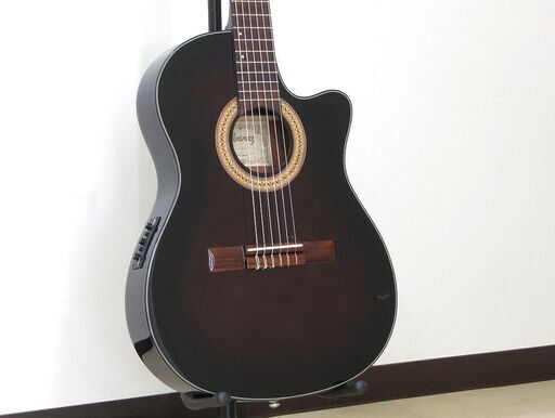 現状品 Ibanez アイバニーズ エレガット ギター クラシック