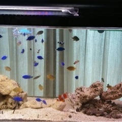 売れないので値下げします笑50,000を30,000でどうですか？全部引き取ってくれる方限定！