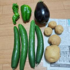 お野菜４点