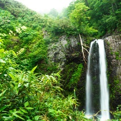 【7/17(月祝)】雨竜沼湿原まで登ろう🥾