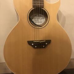 トラベル・ギター売ります（GrassRoots G-AC-50N NTL）