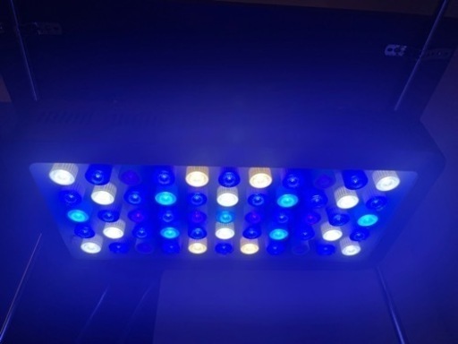 水槽用ライト