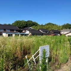 【草刈り代行】福知山、福知山付近の草刈りいたします🌱の画像