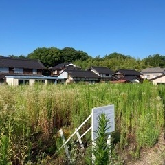 【草刈り代行】福知山、福知山付近の草刈りいたします🌱