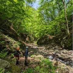 奥多摩⛰️2024 渓流釣り仲間を募集しています🐟