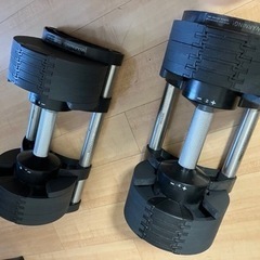 フレックスベル　20キロ　2キロ刻み　2個