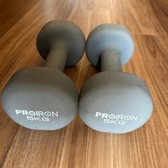 Proiron 5KG ダンベル