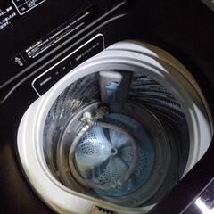 洗濯機 2019年製 5.5kg ハイセンス