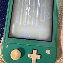 ニンテンドーSwitchライト ※本人確認中 返信遅れます