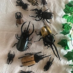 カブトムシ、クワガタ、昆虫フィギュア超大量セット