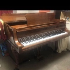 zimmermann  グランドピアノ