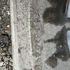 ホイール 旧車 WSH245-1 ZONA