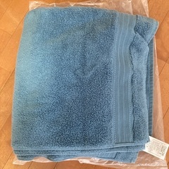 毛布(ほぼ新品)、バスタオル(汚れあり)
