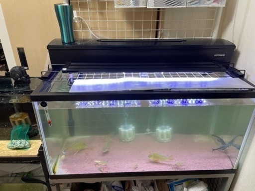 水槽、水槽用品　最終値下げ