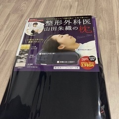 整形外科医の枕(お取引決定)