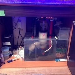 OHアクリル水槽900一式　海水生体付属　